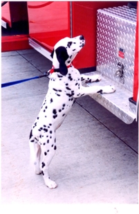 humor kids and firemen